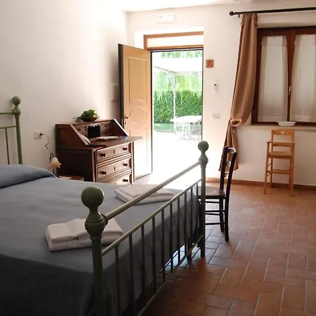 Il Sagrato Di * Assisi