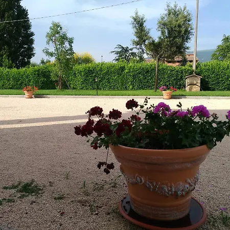 Il Sagrato Di Assisi