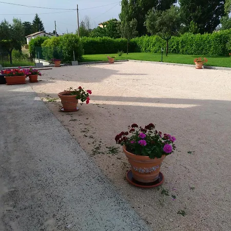 Il Sagrato Di * Assisi