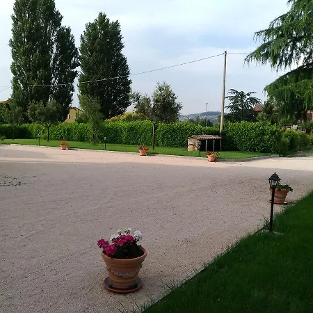 Il Sagrato Di * Assisi