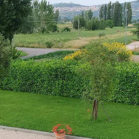 Il Sagrato Di Assisi