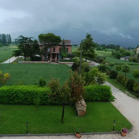 Il Sagrato Di * Assisi